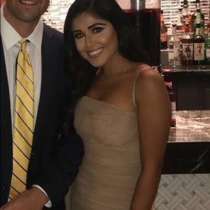 Tan Organza Mesh Maxi Dress